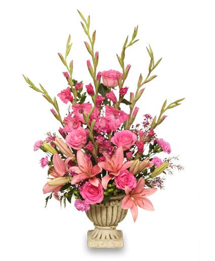 Tender Tribute — Katy Florist & Gifts, Katy TX