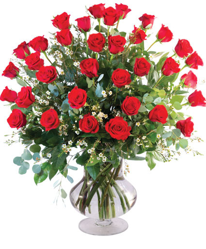 Three Dozen Red Roses — Katy Florist & Gifts, Katy TX