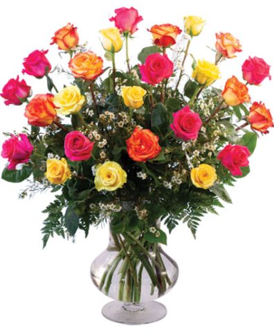 24 Mixed Roses — Katy Florist & Gifts, Katy TX
