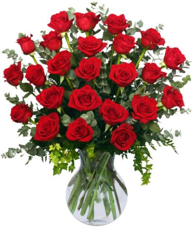 24 Radiant Roses — Katy Florist & Gifts, Katy TX