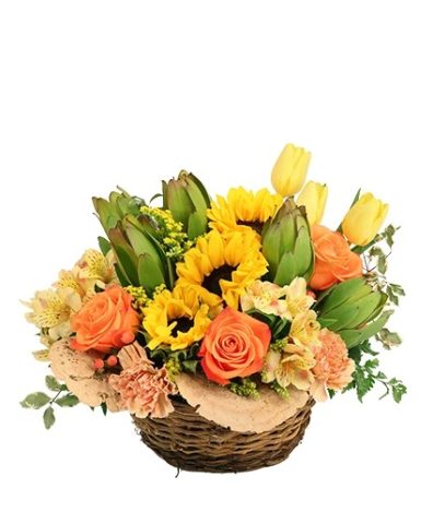 Brightly Joyful — Katy Florist & Gifts, Katy TX