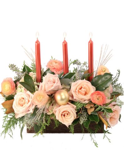 Calming Peach Roses — Katy Florist & Gifts, Katy TX