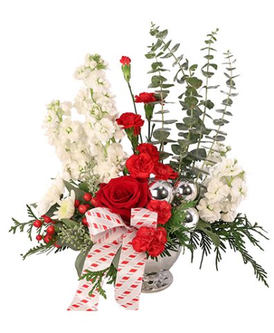 Candy Cane Carnations — Katy Florist & Gifts, Katy TX