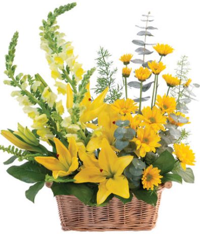Cheerful Yellow — Katy Florist & Gifts, Katy TX
