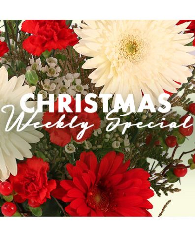 Christmas Arrangement — Katy Florist & Gifts, Katy TX