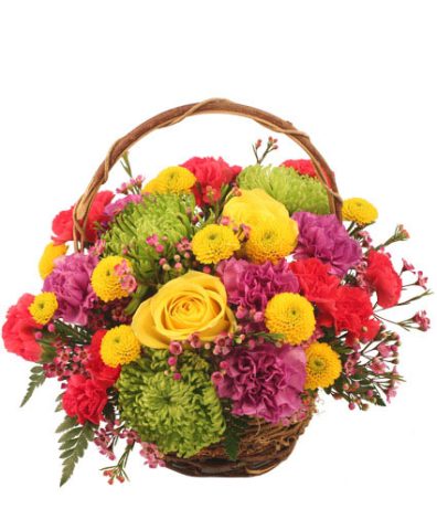 Colorfulness — Katy Florist & Gifts, Katy TX
