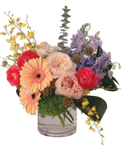 Dreaming Blush — Katy Florist & Gifts, Katy TX