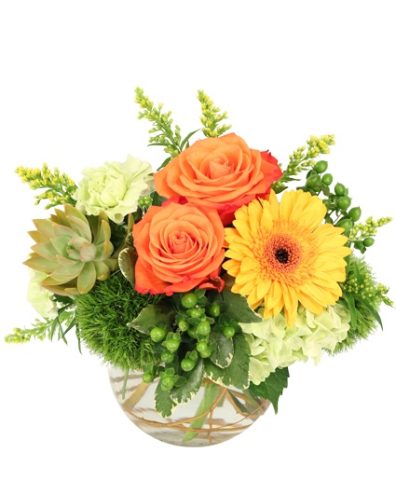 Evening Ember — Katy Florist & Gifts, Katy TX