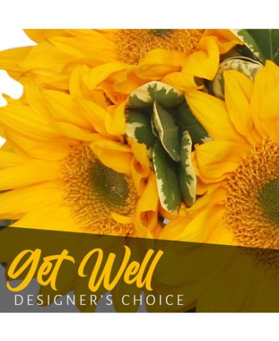 Get Well Bouquet — Katy Florist & Gifts, Katy TX