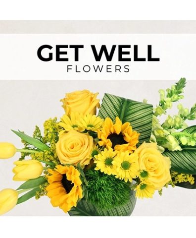 Get Well Florist’s Pick — Katy Florist & Gifts, Katy TX