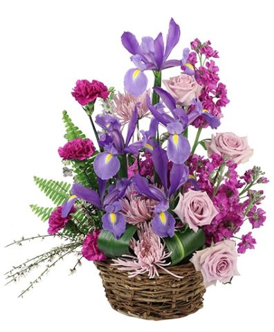 Iris Affection — Katy Florist & Gifts, Katy TX
