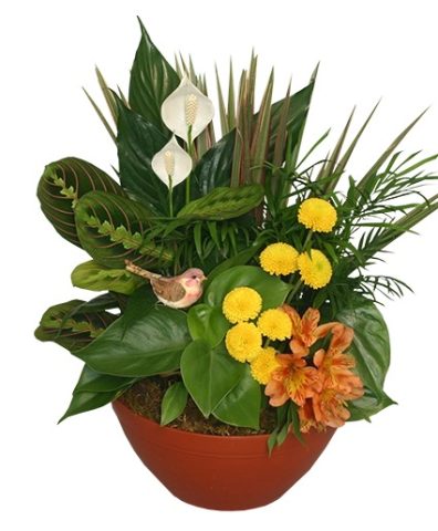 Natural Touch — Katy Florist & Gifts, Katy TX
