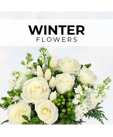 Winter Florist’s Pick — Katy Florist & Gifts, Katy TX