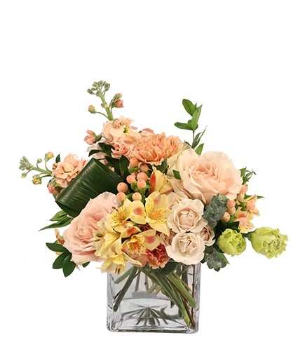 Timelessly Tranquil — Katy Florist & Gifts, Katy TX