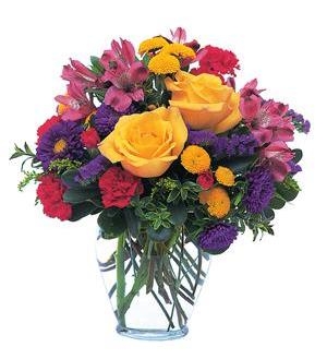To Brighten your Day — Katy Florist & Gifts, Katy TX
