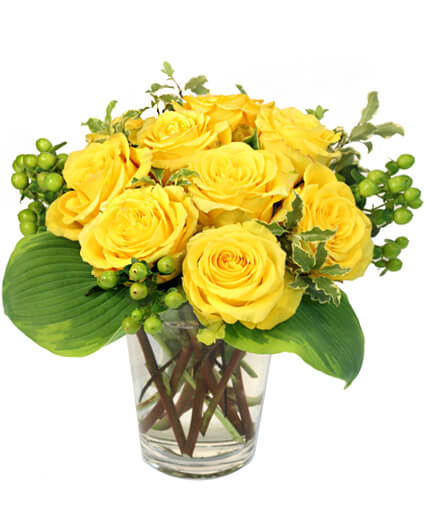 Tomorrow's Promise — Katy Florist & Gifts, Katy TX