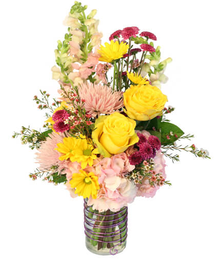 Touches of Light — Katy Florist & Gifts, Katy TX