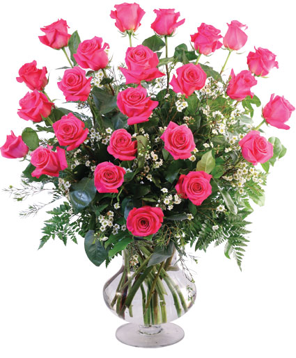 Two Dozen Pink Roses — Katy Florist & Gifts, Katy TX