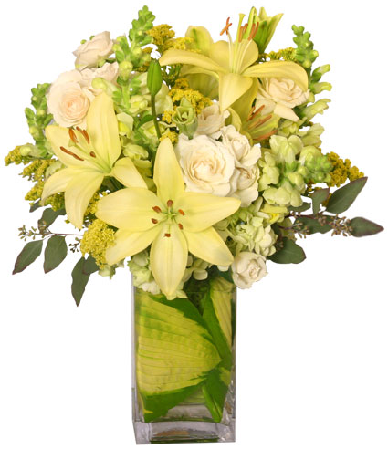 VERY DELIVERY — Katy Florist & Gifts, Katy TX