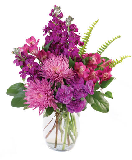 Very Violet — Katy Florist & Gifts, Katy TX