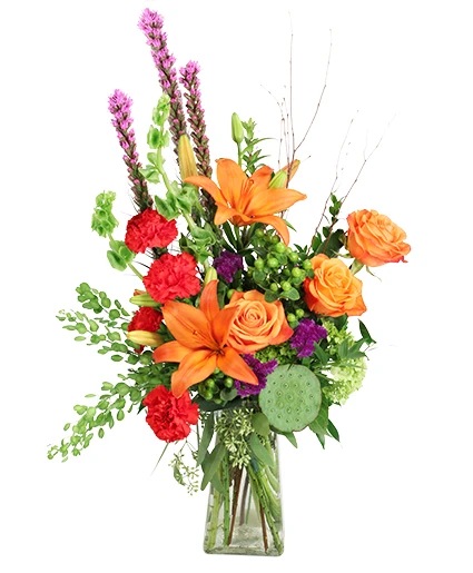Vibrant and Vivacious — Katy Florist & Gifts, Katy TX