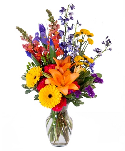 Vibrant Meadow — Katy Florist & Gifts, Katy TX