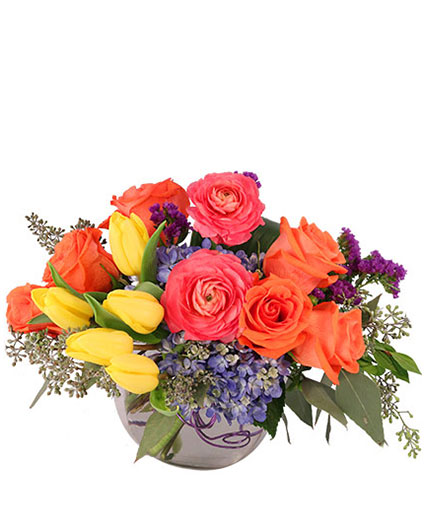Vivid Splendor — Katy Florist & Gifts, Katy TX