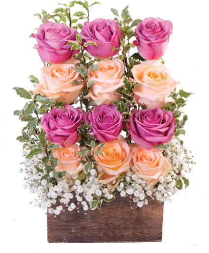 Wall of Roses — Katy Florist & Gifts, Katy TX