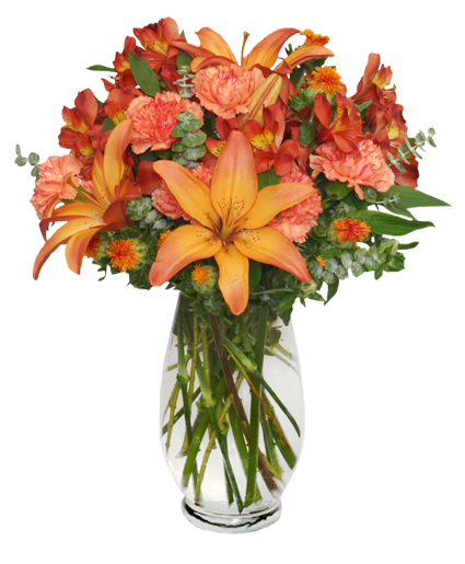 WARM CINNAMON SPICE — Katy Florist & Gifts, Katy TX