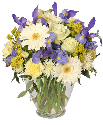 Welcome Baby Boy — Katy Florist & Gifts, Katy TX