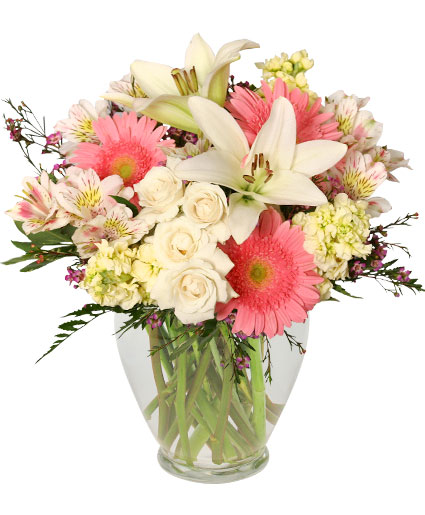 Welcome Baby Girl — Katy Florist & Gifts, Katy TX