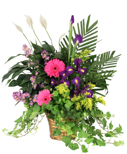 Whispers of Remembrance — Katy Florist & Gifts, Katy TX