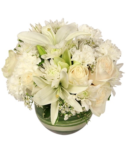 White Bubble Bowl — Katy Florist & Gifts, Katy TX