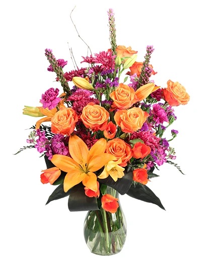 Wild Amber — Katy Florist & Gifts, Katy TX