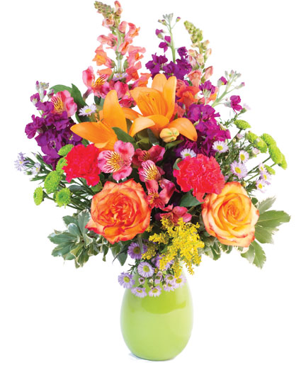 Wild Variety — Katy Florist & Gifts, Katy TX