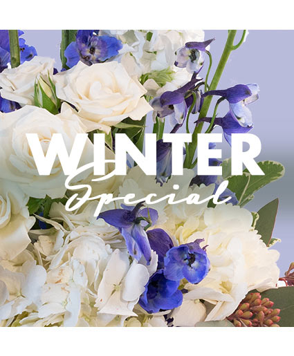 Winter — Katy Florist & Gifts, Katy TX