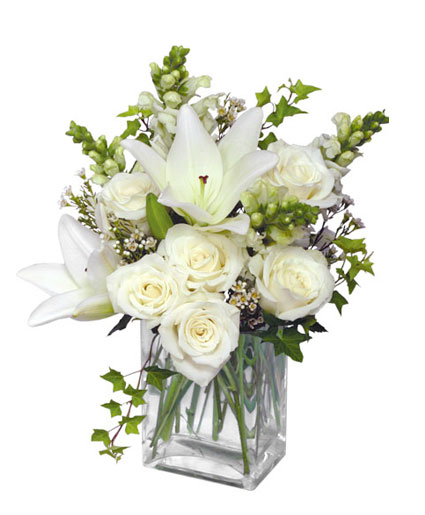 Wonderful White — Katy Florist & Gifts, Katy TX