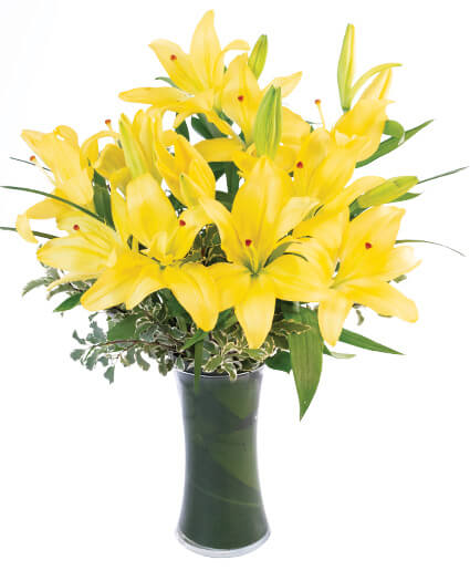 Yellow Lilies — Katy Florist & Gifts, Katy TX
