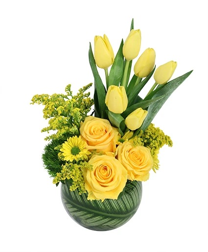 Yellow Optimism — Katy Florist & Gifts, Katy TX